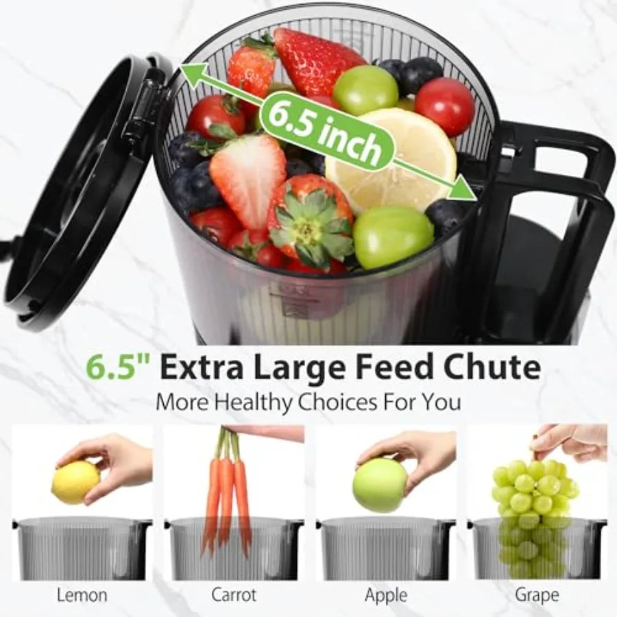 Cold Press Juicer Slow Masticating 350W High Juice Yield